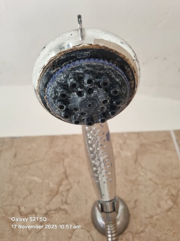 Shower head with visible limescale build-up identified as a Legionella risk during inspection.