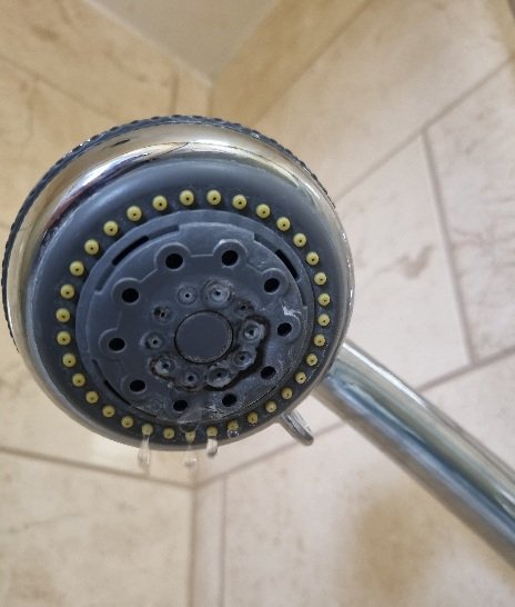 Shower head inspected during a landlord Legionella risk assessment in Doncaster
